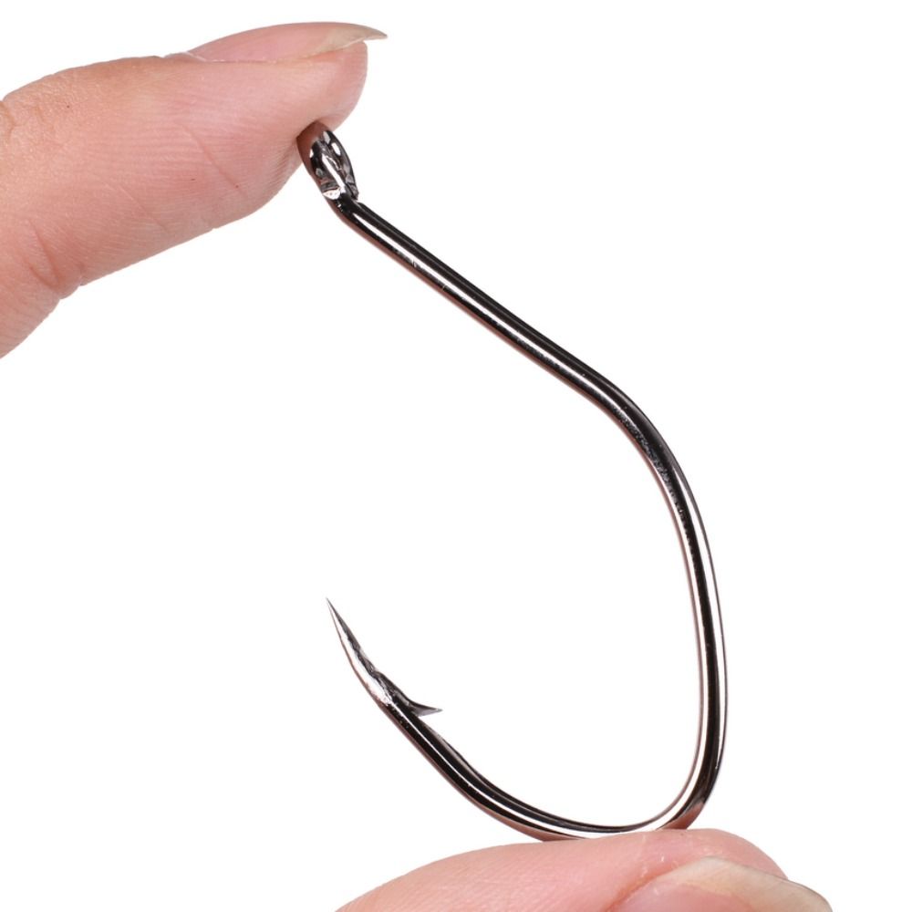 เบ็ดตกปลาปลาดุก10ชิ้น/กล่องเบ็ - Fishing Hook Circle บทวิจารณ์และราคา